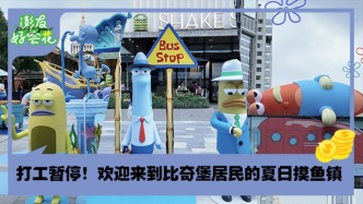 寻找路人鱼！比奇堡居民已上岸｜澎友好会花
