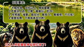 动物园年薪10万招黑熊NPC，已有上百人报名