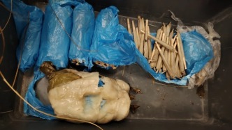 广州海关从旅客行李箱查获粽子状物品，内藏大麻300克