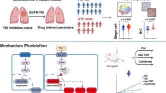Cancer Cell：方文峰/张力团队证实，TROP2-ADC靶向药物耐受性持久细胞，延缓非小细胞肺癌对EGFR TKI的耐药性