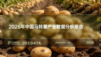 中国马铃薯产业格局：西南领跑，出口猛增