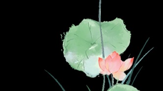 夏至儿童营养指南：科学饮食，维持夏季健康与活力
