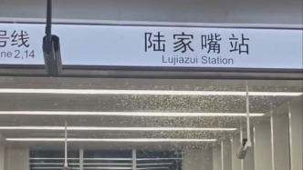 2号线陆家嘴站出入口现大量白蚁，上海地铁：已安排消杀处理
