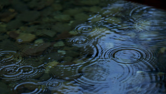 我国梅雨季节已全面开启，预计江南地区梅雨量较常年偏多