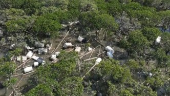 广西钦州市钦南区通报“海漂垃圾清理整治”：已清理海漂垃圾约50吨