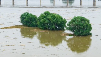 应急部：今年主汛期北方地区预测降雨偏多、洪涝灾害风险较大