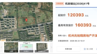 杭州两宗低密宅地28.34亿元成交，未来科技城地块溢价超33%