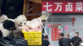 合肥网红店“七万卤菜店”被拍到生肉食材遭狗啃食，市监部门：已介入调查，门店已闭店