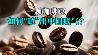 言短意长丨一颗咖啡豆如何“链”出中国底气？