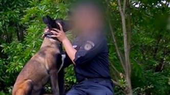 毛茸茸的脑袋里填满忠诚，缉毒警受伤后缉毒犬苦守半年，重逢一刻狗狗“失控”了