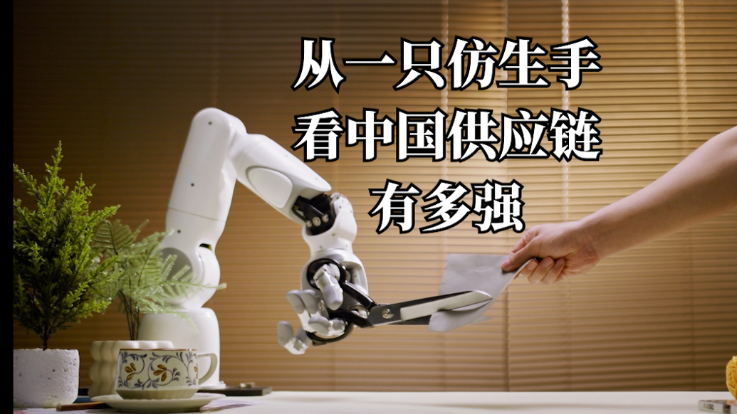 言短意长 | 从一只仿生手看中国供应链有多强