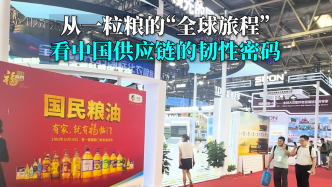 言短意长｜从一粒粮的“全球旅程”，看中国供应链的韧性密码