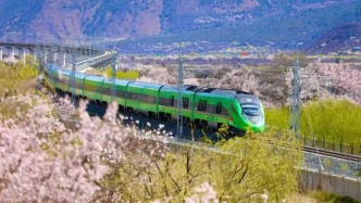 拉萨至林芝铁路开通运营5周年，累计运送旅客超625万人次