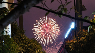 玉兰光影落临港：一座年轻新城的烟火与热烈