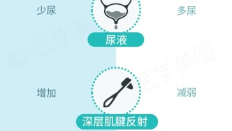 一图读懂丨高钾血症 VS 低钾血症