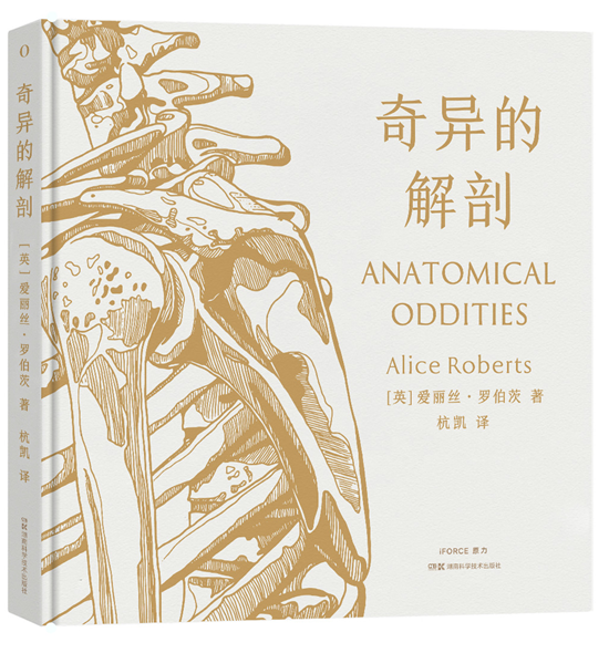 6月译著联合书单｜付学费：我们缘何不计代价