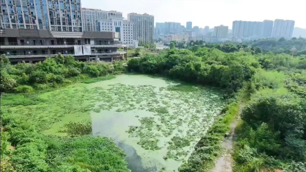 湖南祁东奥园广场烂尾盘：购房户退款难，接盘企业称已付款但还不能退