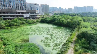 湖南祁东奥园广场烂尾盘：购房户退款难，接盘企业称已付款但还不能退
