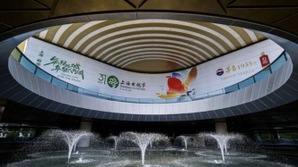 五洲佳作耀申城，全球共赏白玉兰