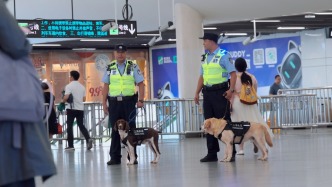 什么样的警犬，能在地铁站“上班”？