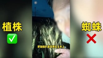 马上评｜农业网红诋毁袁隆平成果，着实令人齿冷