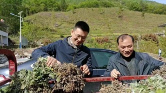 起底艾草烟涉事企业法定代表人李田：自称李时珍后人被打假，改口称是“玩笑话”