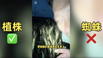 媒体评网红诋毁袁隆平科研成果被拘：蹭流量、博眼球的伪科普当休矣