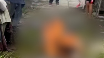 四名孩子伤害流浪狗，广东揭阳新亨镇：均未满14周岁，已送专门学校教育