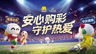 真实购彩诈骗典型骗局：仿冒私彩平台返利收割