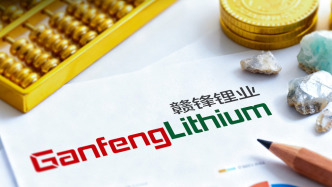 历时9个月赣锋锂电20亿增资终落地，引入战投未见产业资本身影