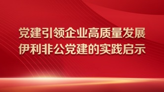 党建引领企业高质量发展——伊利非公党建的实践启示