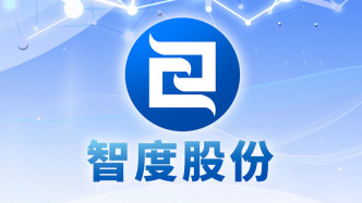 智度股份间接控股股东正在推进引入战投，已有意向投资人