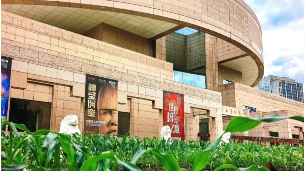 上半年上海接待游客3.13亿人次，193场文博美术大展“蓄势待发”