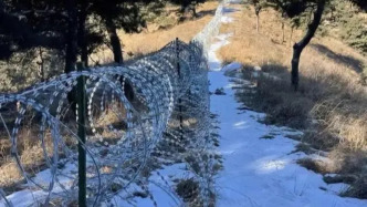 媒体：泰山“刀片围山”背后的决策逻辑，该说得更清楚