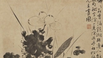 诗画节气｜今日小暑，看看徐文长画的盛夏墨荷