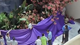 西安赛格商户坠亡事件：一场悲剧引发三重拷问