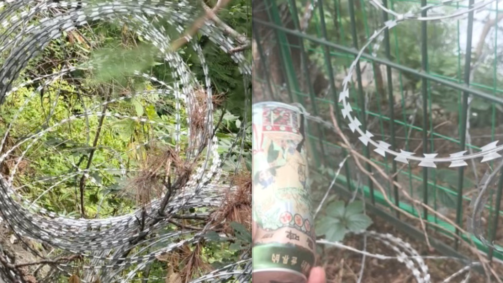 探访|村民称泰山林间起初是铁栅栏后又加装刀刺网,易拉罐被轻松划破