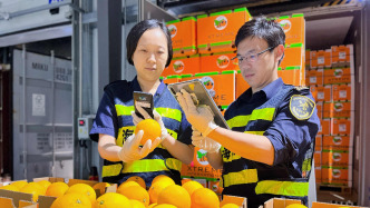 对53个非洲建交国零关税举措实施双月，上海关区超12亿元进口货物享惠