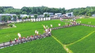 中原突围胜利80年后，大悟开启新“突围”