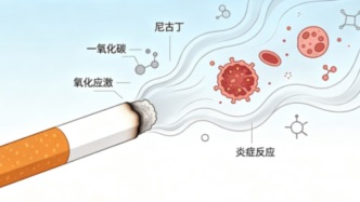 手术成功就高枕无忧？不，这个习惯正悄悄摧毁你的血管