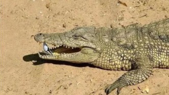 有哪些你从小信到大的生物学“常识”，全是错的？！