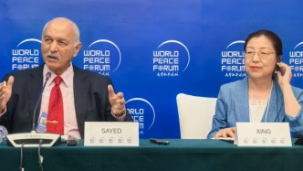 世界和平论坛｜巴、土、沙、埃四国框架是中东出现替代性安全框架的开端