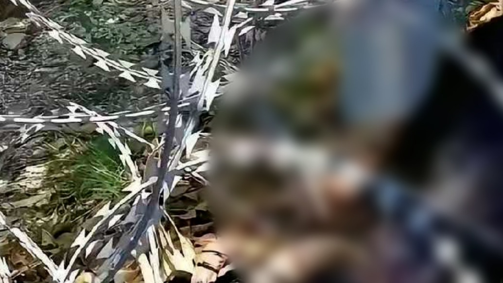 泰山135公里刀片铁丝网被质疑影响动物迁徙,一泰安市民称多次看到动物挂网死亡
