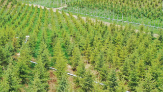 厘清自然资源管理与林业草原保护发展边界，青海多地林草局单设