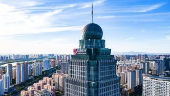 传承弘扬沂蒙精神丨“沂蒙红”聚合力，“临商金”践初心——临商银行以高质量党建引领高质量发展