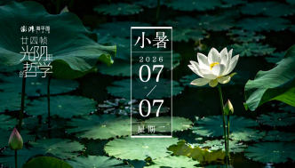 廿四帧光阴里的哲学｜小暑