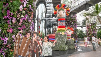 空气凤梨羊驼绿雕、龙舌兰稀有品种……美洲植物大展将在沪启幕