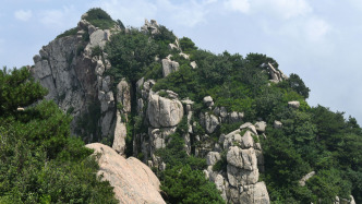 邯郸要求全市线下线上等全部经营渠道禁售泰山原石