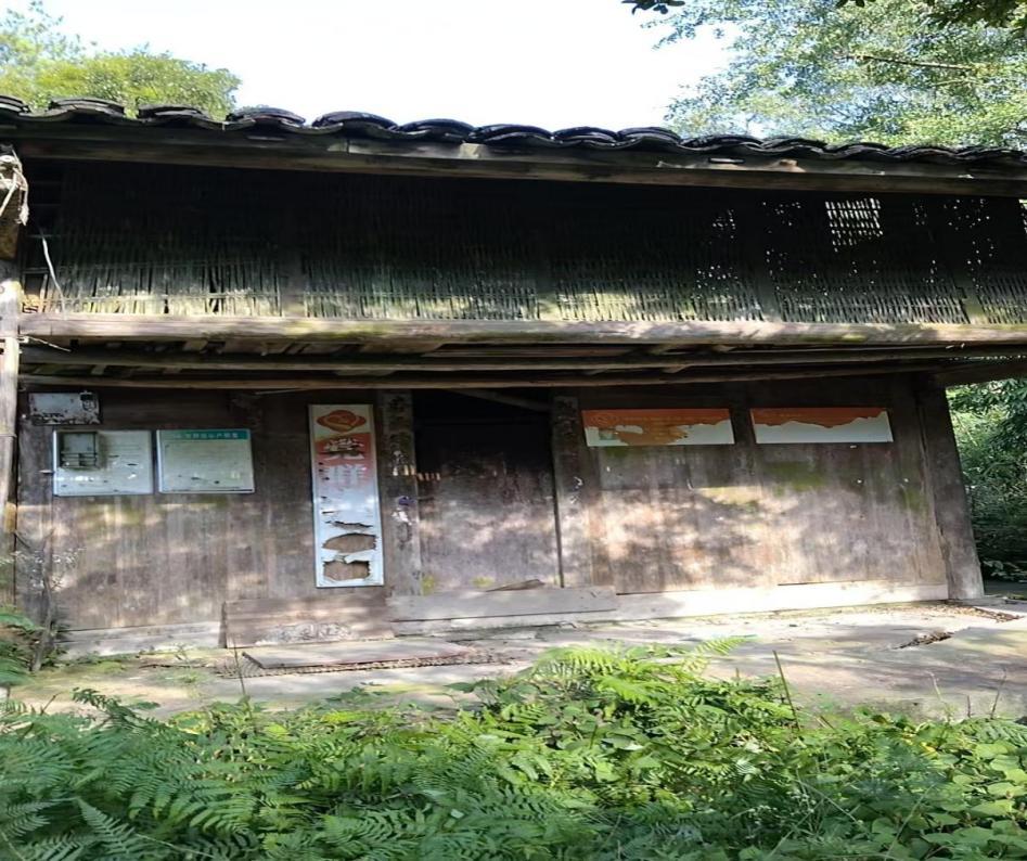大学生写家史︱黔岭余声:两代人的理想与归平