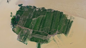 国家防总办公室联合工作组赴广西横州市协助指导水库溃坝抢险救灾工作